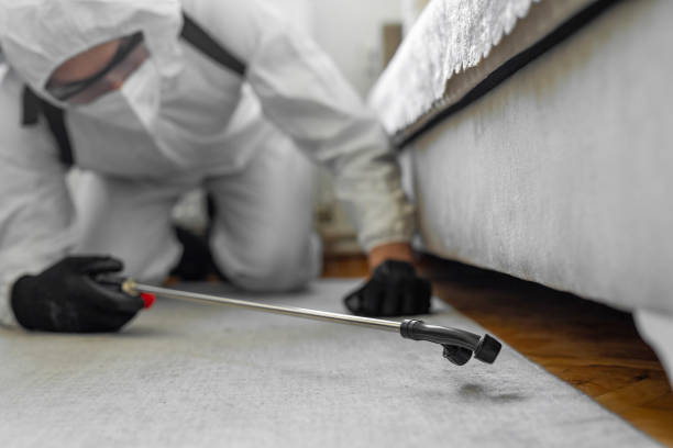 Professional Bed Bug Control technician working in El Paso, TX