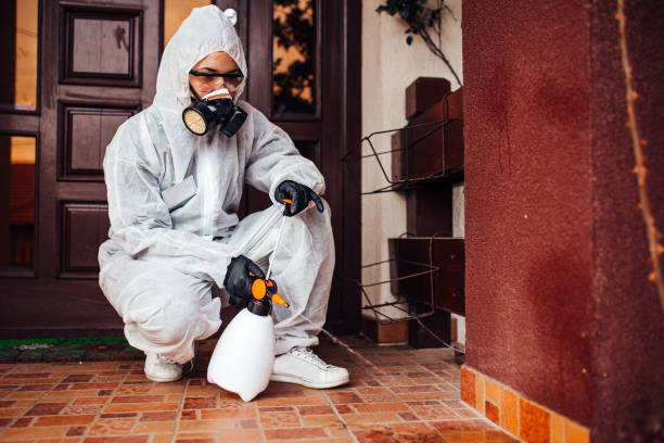 Reliable Bed Bug Control contractor in El Paso, TX by Nex Pest Control